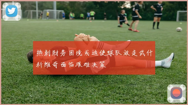 热刺财务困境或迫使球队放走武什科维奇面临艰难决策
